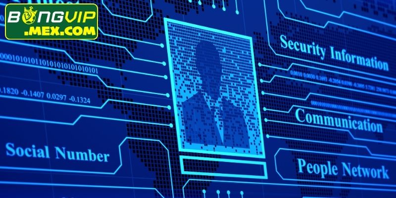 Thông tin dữ liệu hội viên