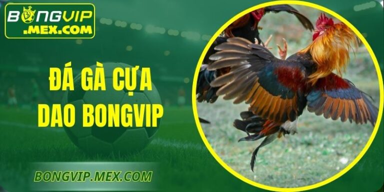 Đá Gà Cựa Dao Bongvip – Môn Đấu Tốc Độ Cao Hợp Pháp