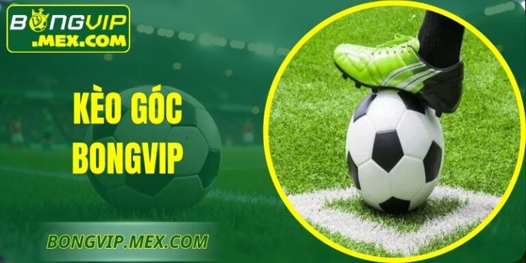 Kèo Góc Bongvip - Phân Tích Mang Đến Lựa Chọn Chuẩn Xác