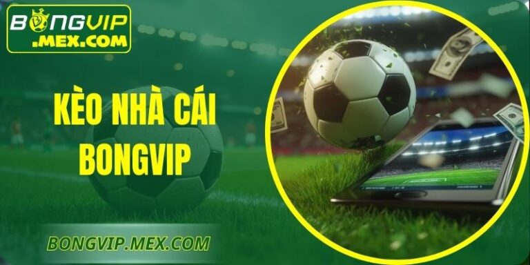 Kèo Nhà Cái Bongvip – Tổng Quan Hệ Thống Phân Tích Tỷ Lệ