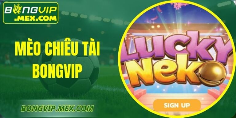 Mèo Chiêu Tài Bongvip Chiến Thuật Chơi  Hiệu Quả Nhất 2026