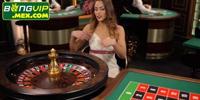 Nhóm cửa đặt cược chi tiết