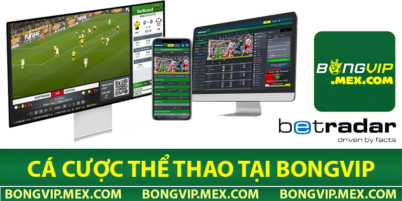 Tìm hiểu về cá cược thể thao tại Bongvip